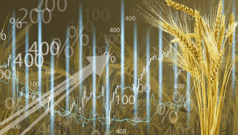 الاقتصاد الغذائي