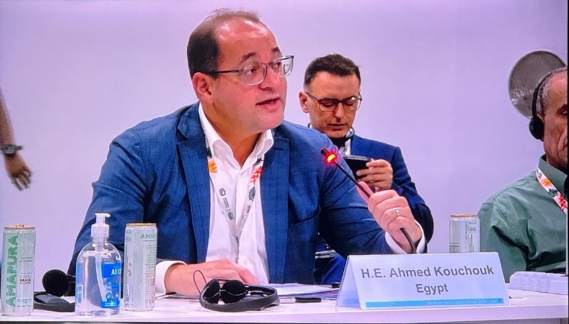 أحمد كجوك- وزير المالية