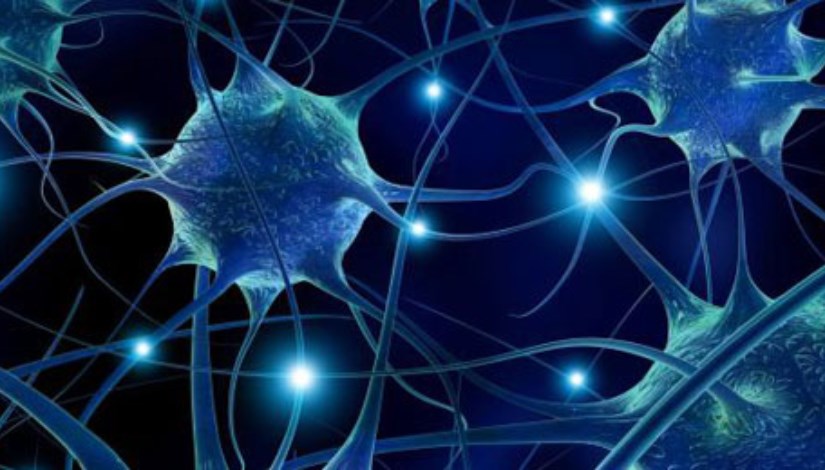 الخلايا العصبية