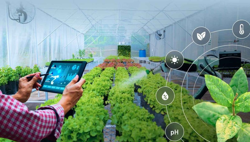 الزراعة الذكية