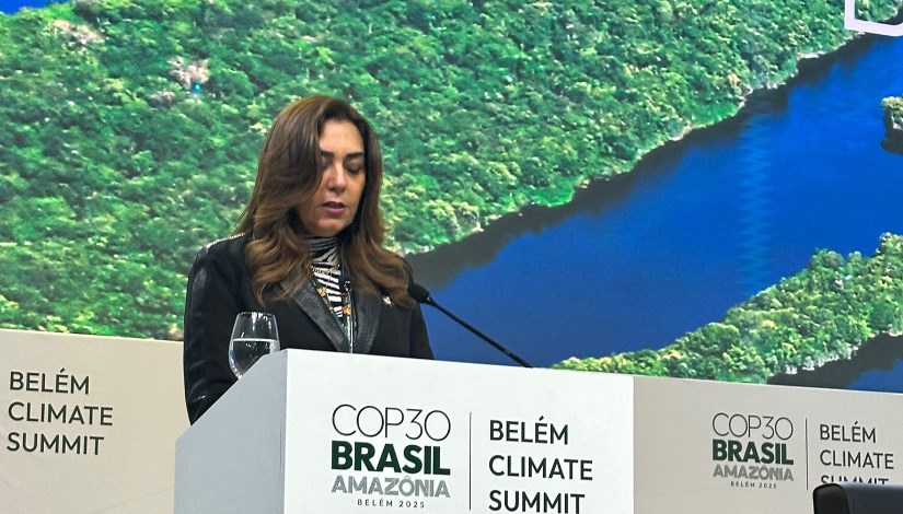 الدكتورة منال عوض وزير التنمية المحلية 