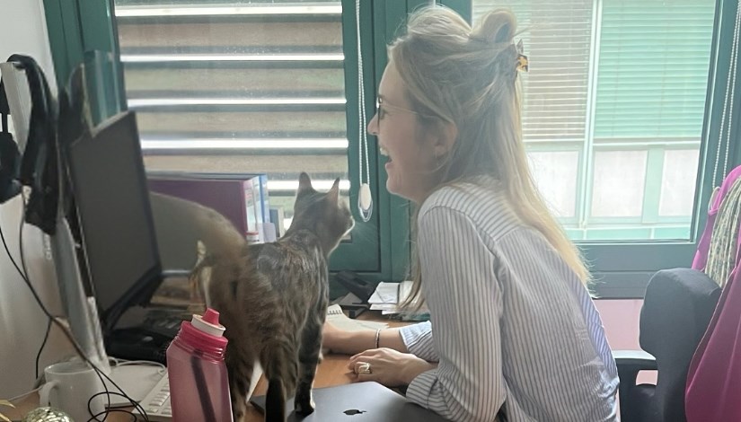 القط المصري في السفارة الألمانيا بالقاهرة 