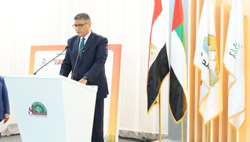 المهندس عادل النجار محافظ الجيزة