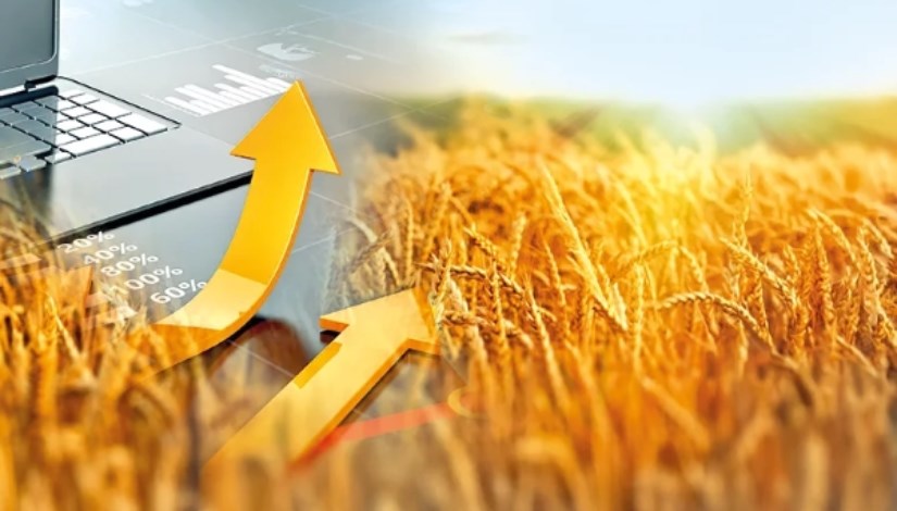 أسواق الحبوب العالمية والاغلاق الأمريكي