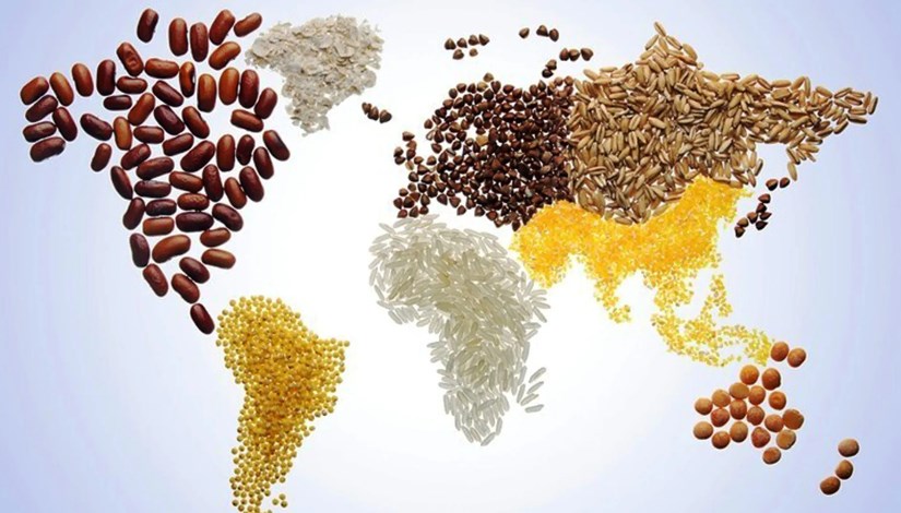 الزراعة والغذاء