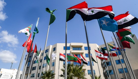 الدول العربية 