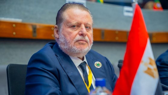 حسن عبد الله، محافظ البنك المركزي المصري