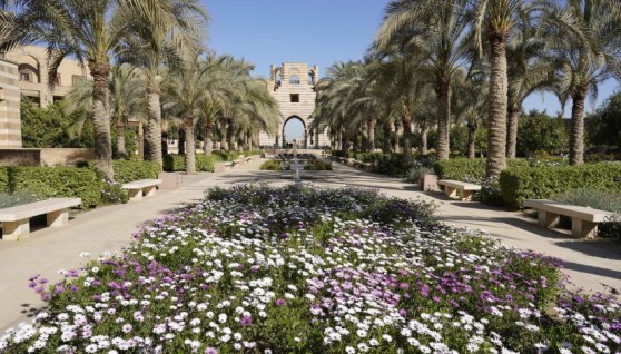 أراضي بجوار الجامعة الأمريكية