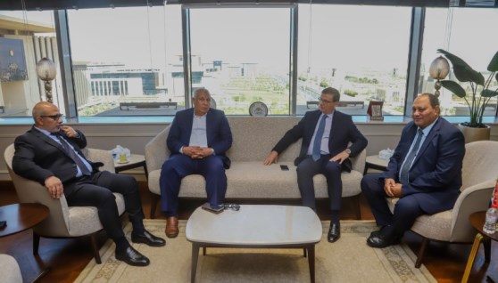 جانب من اللقاء