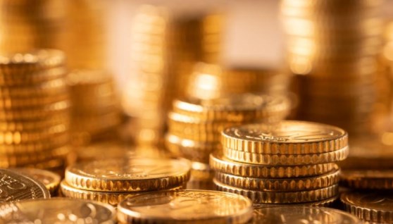 الجنيه الذهب