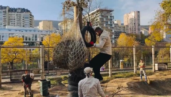 جانب من الأعمال داخل الحديقة