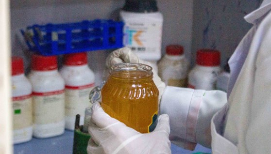 تحليل العينات