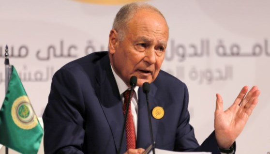  أحمد ابو الغيط، أمين عام جامعة الدول العربية