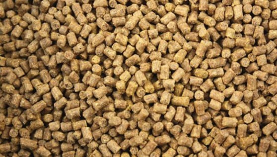 أعلاف الدواجن