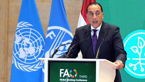 الدكتور مصطفى مدبولي رئيس مجلس الوزراء