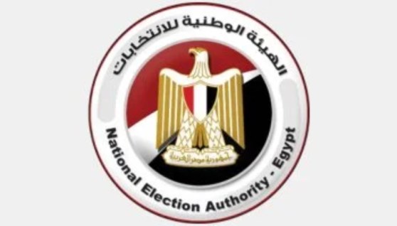 الهيئة الوطنية للانتخابات
