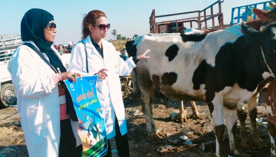 تحصين الماشية