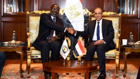 وزير الخارجية مع رئيس مفوضية الإيكواس