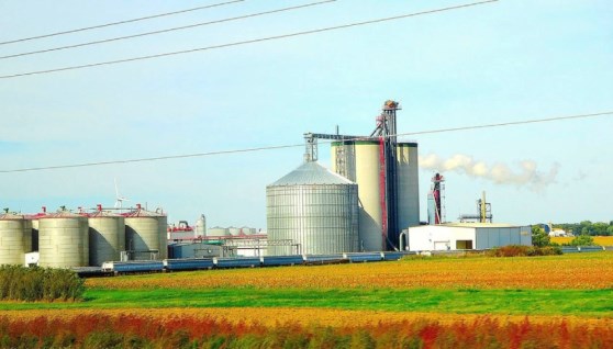 وقود حيوي- أرشيفية