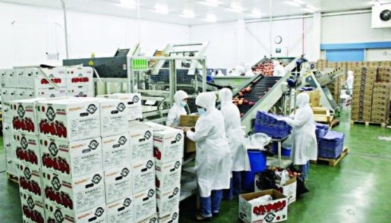 وظائف وزارة العمل 