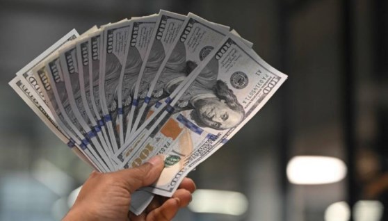 سعر الدولار 