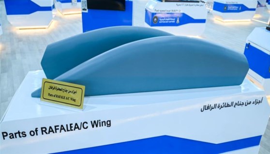 أجزاء من جناح الطائرة المقاتلة "رافال"