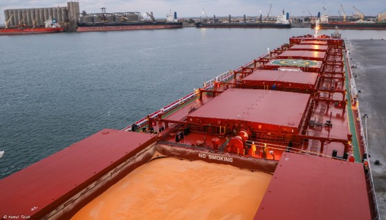 ميناء دمياط 