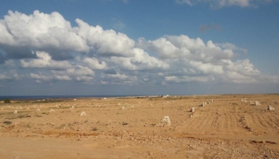 طلبات حجز الأراضي 