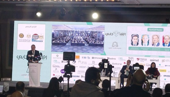 وزير قطاع الأعمال خلال المؤتمر