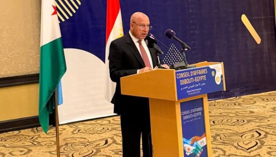 الفريق مهندس كامل الوزير