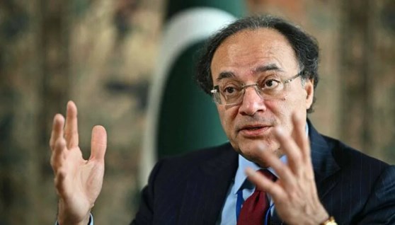 محمد أورنغزيب وزير المالية الباكستاني