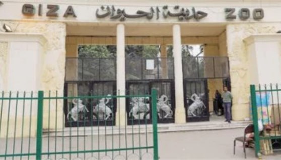 حديقة حيوان الجيزة