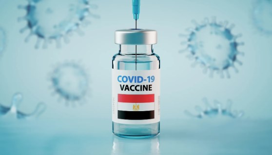 اللقاحات -أرشيفية