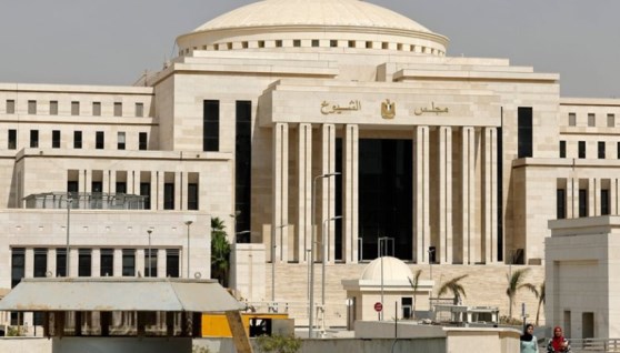 مجلس الشيوخ