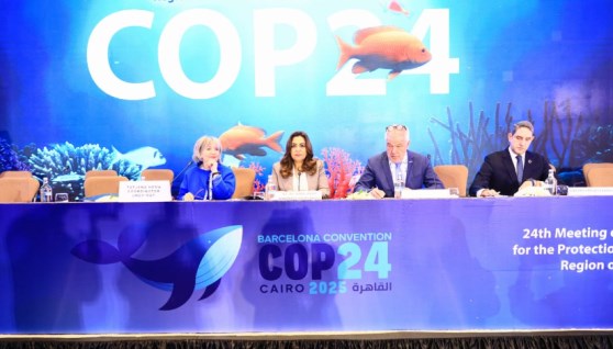 مؤتمر الأطراف الرابع والعشرين لاتفاقية حماية بيئة البحر المتوسط من التلوث