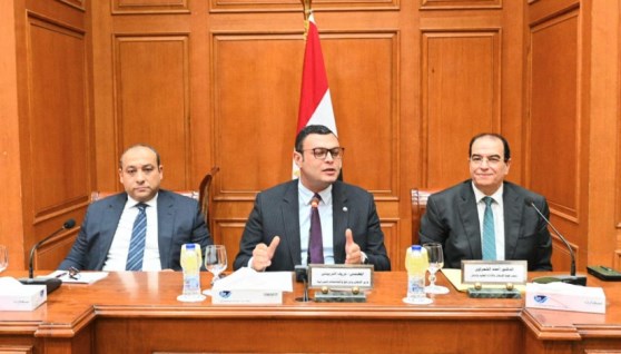 اجتماع لجنة الإسكان والإدارة المحلية والنقل بمجلس الشيوخ