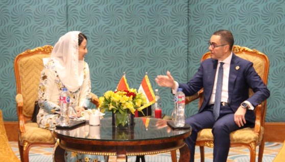 جانب من اللقاء 