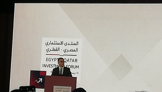 جانب من الفعاليات 