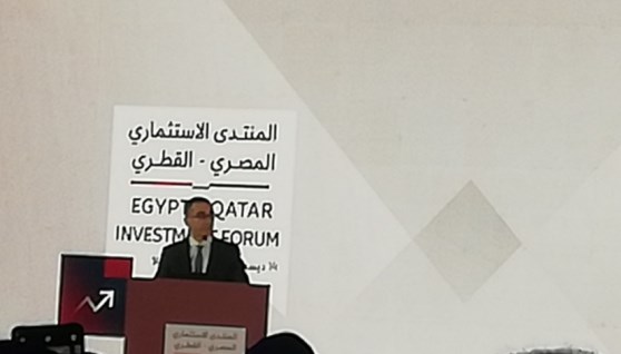 جانب من الفعاليات 