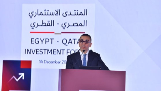 جانب من الفعاليات 