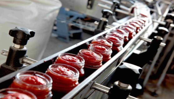 خط إنتاج كاتشب - صورة موضوعية