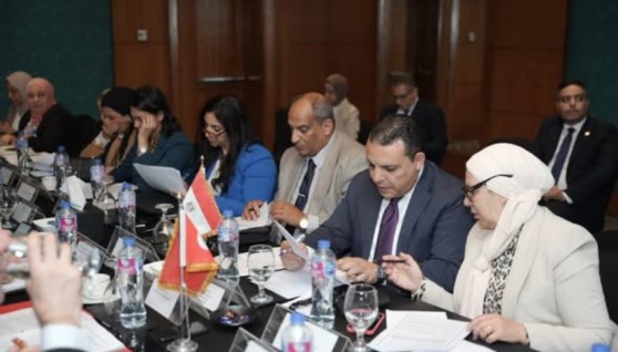 التمثيل التجاري المصري 