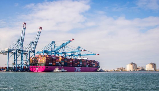 هيئة ميناء دمياط