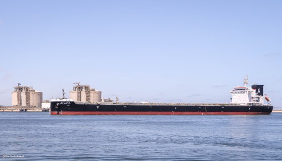 ميناء دمياط اليوم