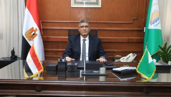  المهندس عادل النجار، محافظ الجيزة