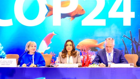  اتفاقية برشلونة