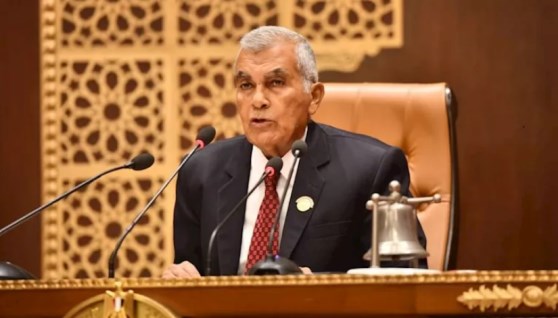 المستشار عصام فريد رئيس مجلس الشيوخ