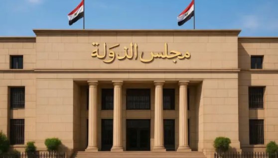 مجلس الدولة