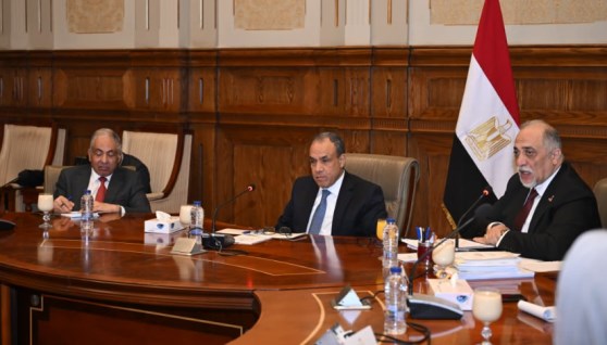  بدر عبد العاطي- وزير الخارجية