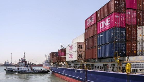 هيئة ميناء دمياط